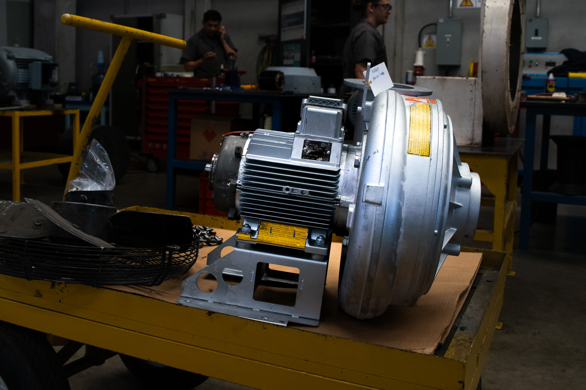 Fotografía para publicaciones RENAME