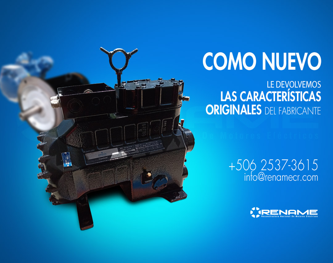 Publicación RENAME 2023