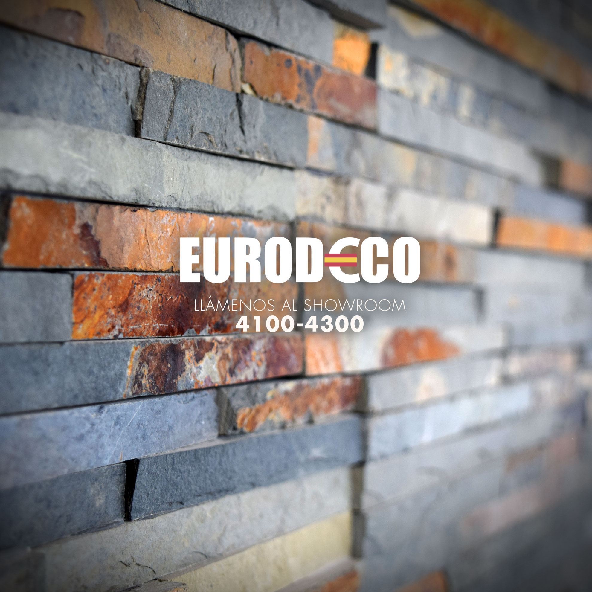 Arte publicación Feed